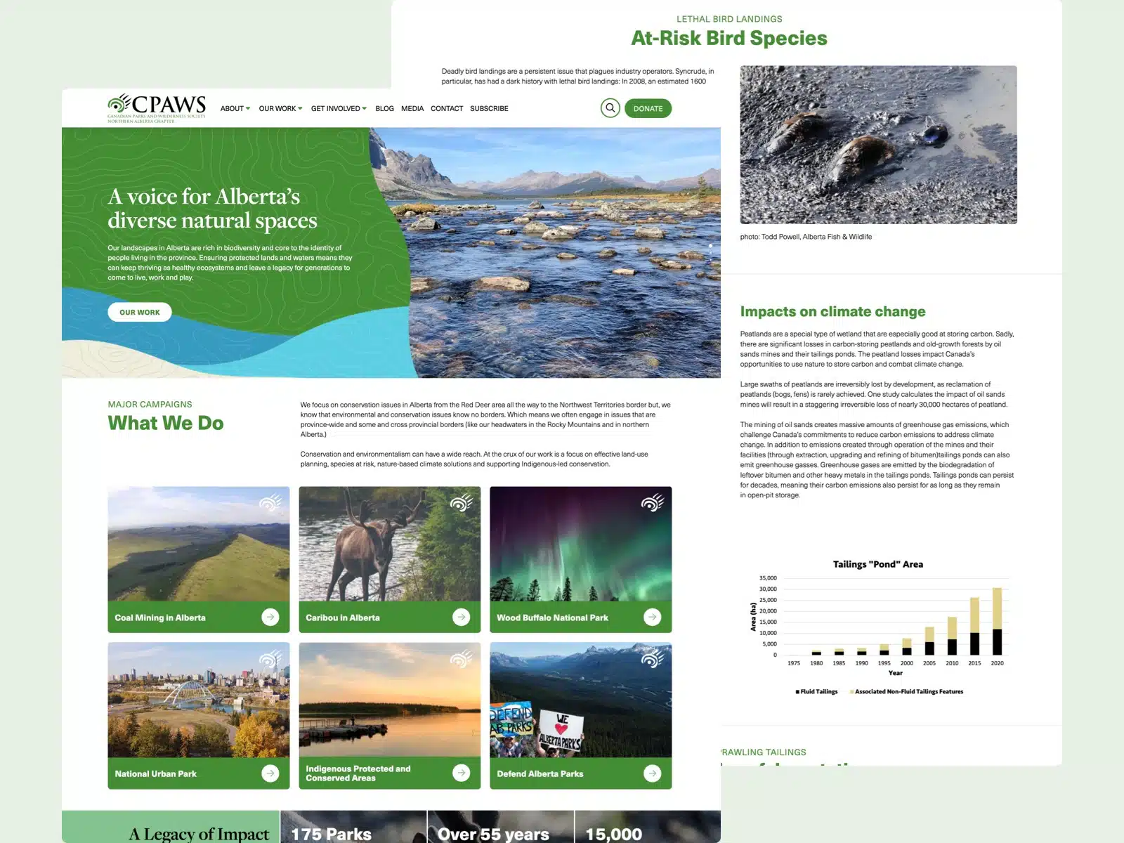 Home 10 Featured image for “CPAWS Northern Alberta”